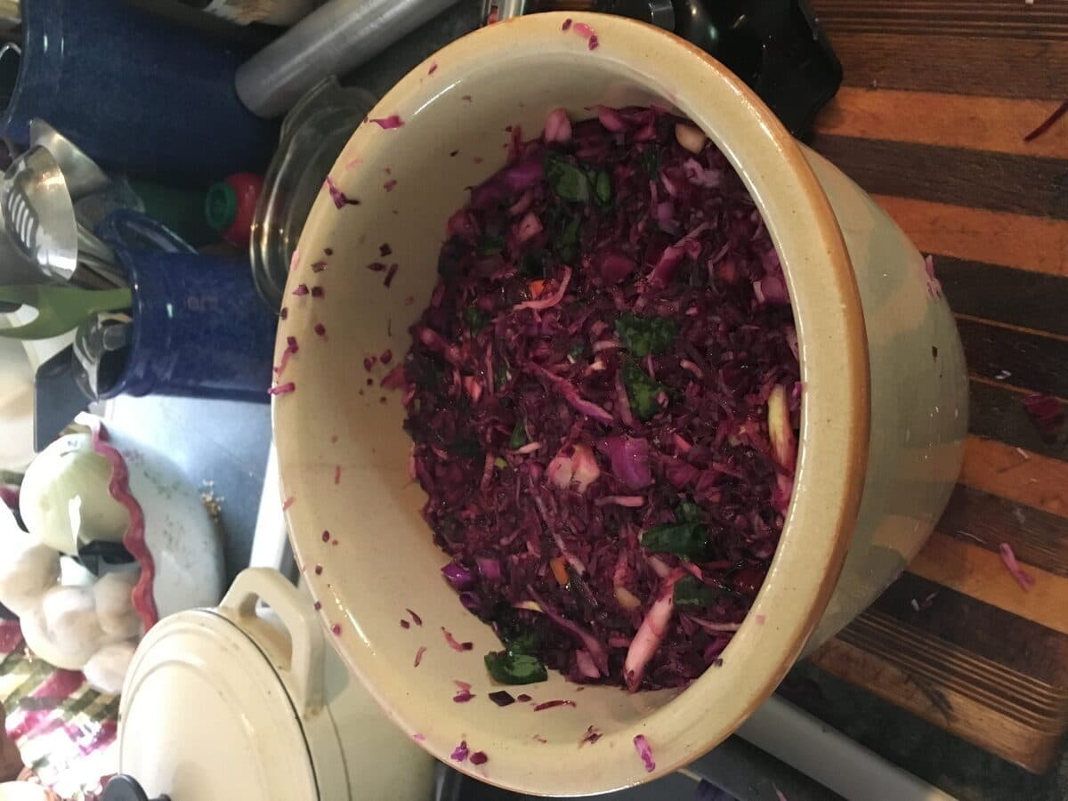 Red cabbage fermentation