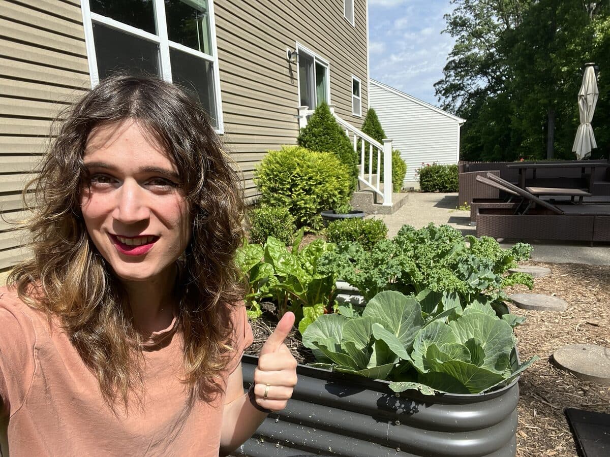 Raised bed vegetable garden