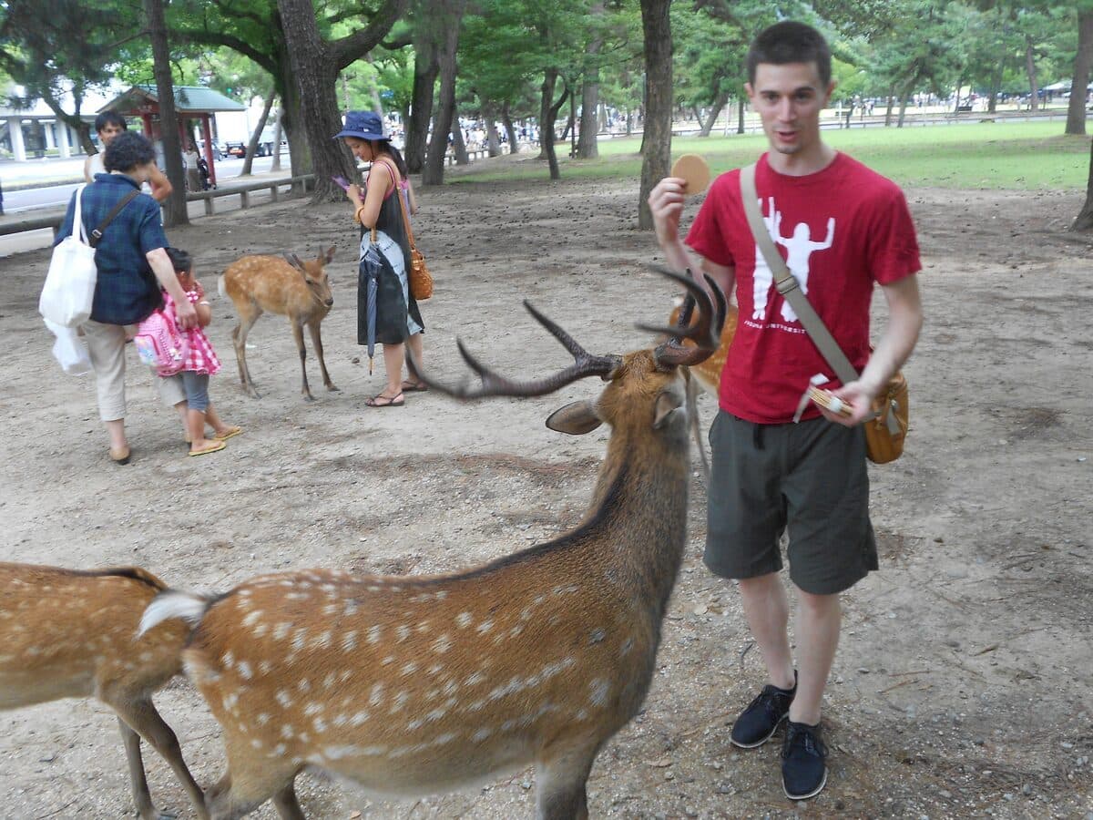 Feeding deer in Nara, Japan