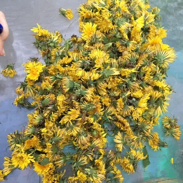 With students in China